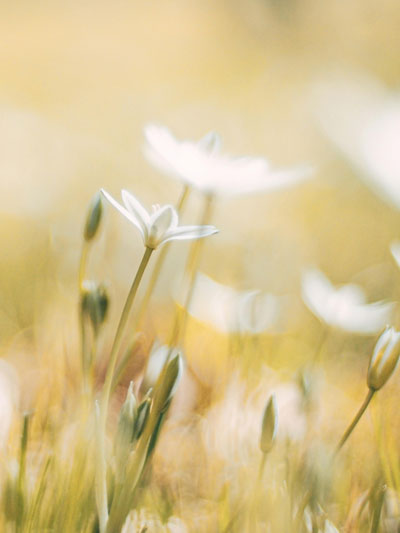 sfeerafbeelding van Psycholoog Amsterdam